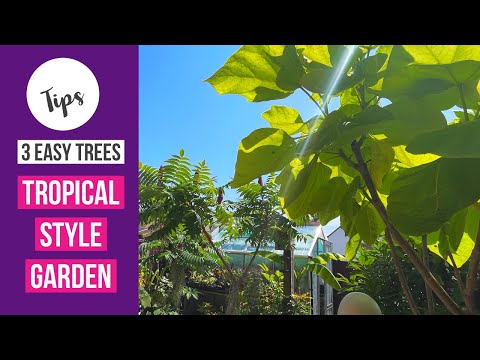 Video: Magnificent and ordinary catalpa - a tree for garden design
