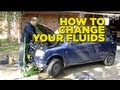 How To Change Your Cars Fluids