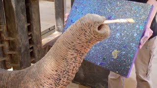 Elephant Artists - SANTA BARBARA ZOO Elephant Artists - SANTA BARBARA ZOO
