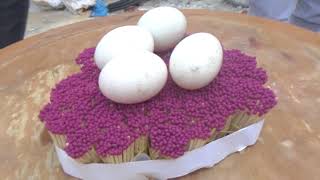 Nướng Trứng Gà Bằng 10000 Que Diêm Grill Eggs Chicken 360Hot Ren Vlogs