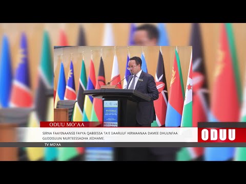 Oduu Jimaata Galgalaa Aug 29 2025 Finfinnee