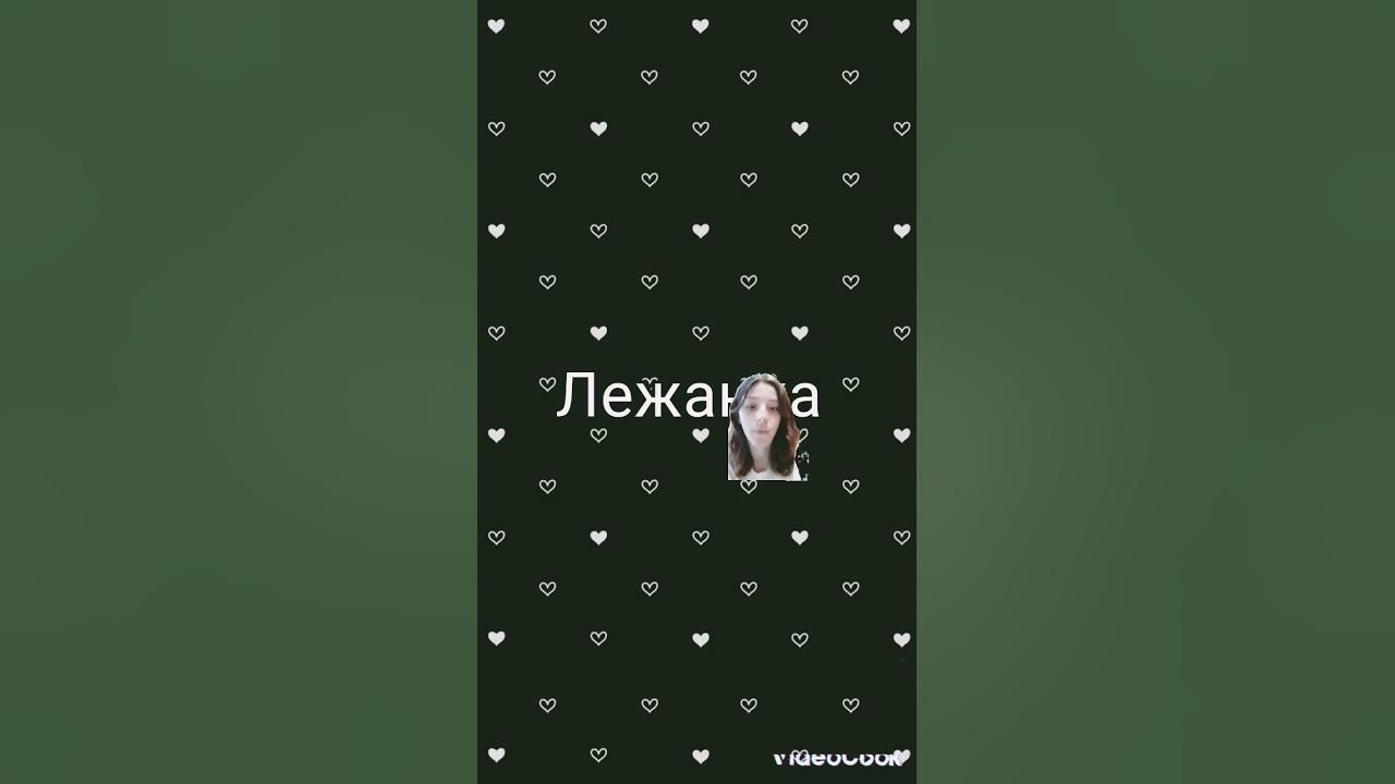 Зачем коту ошейник и одежда??? #животные #кошка #выбирашки # ...