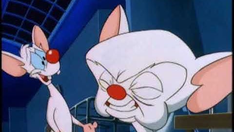 Pinky and the Brain - John Brain