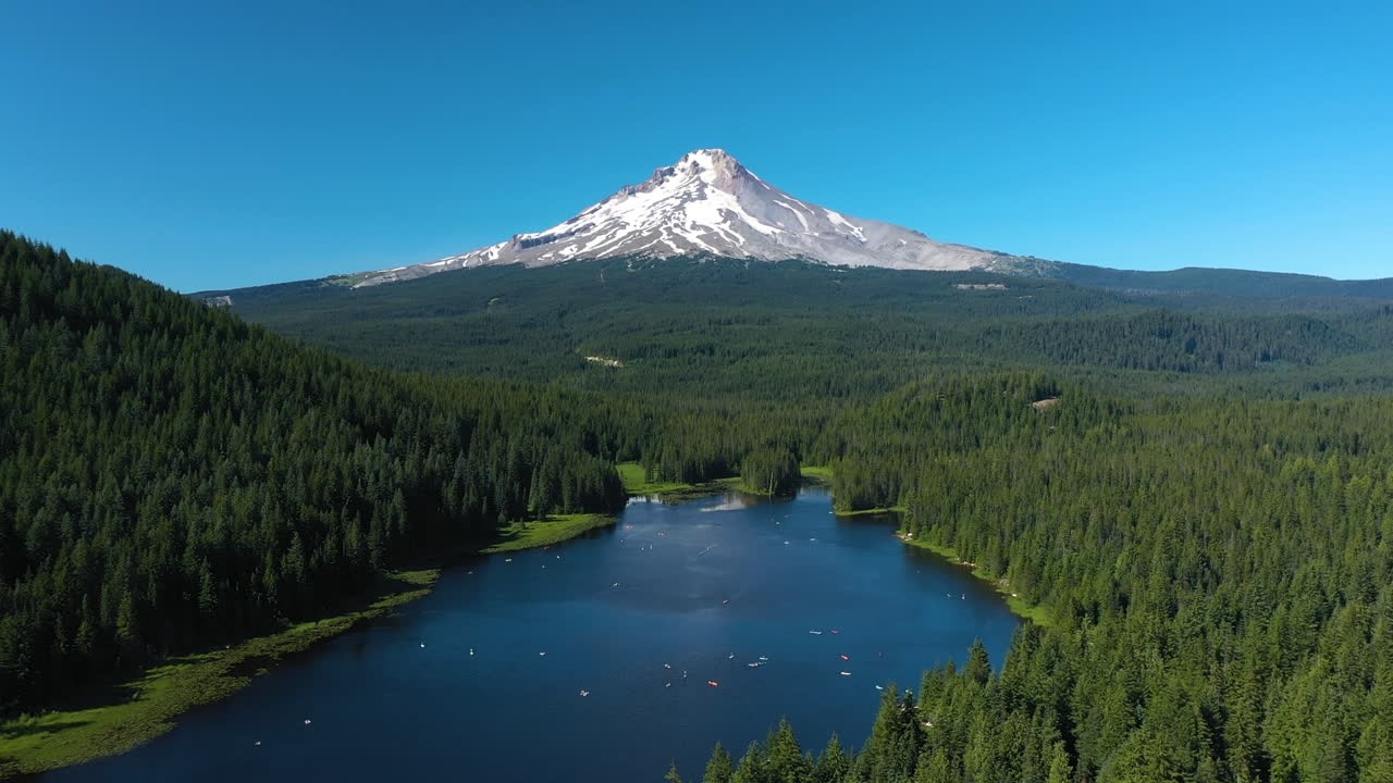 Calm, Hyperfocus 🌲 Celtic & Classical Lofi