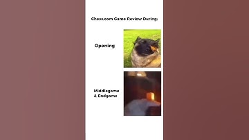 Chess.com Game Review Be Like!!