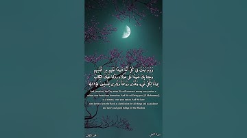 « ويوم نبعث من كل أمة شهيداً ثم لا يؤذن للذين كفروا » سورة النحل | محمد الكاف
