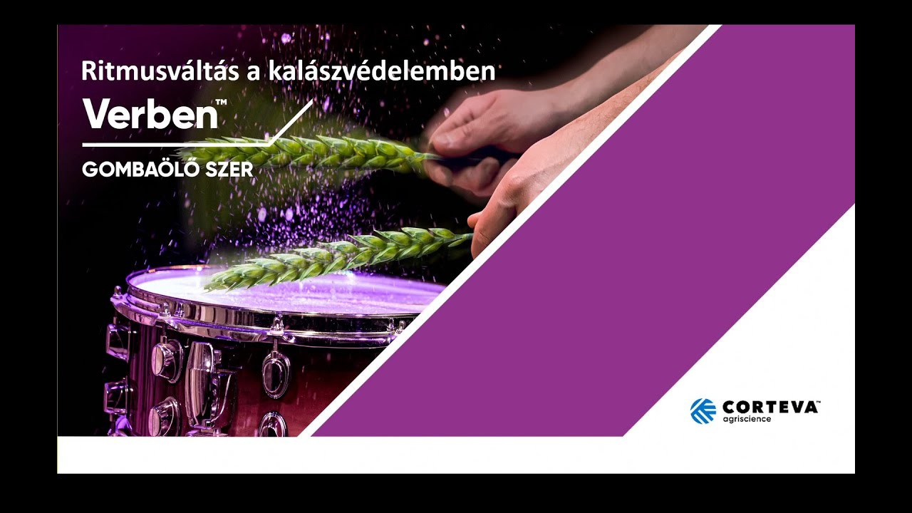 Ritmusváltás a kalászvédelemben!