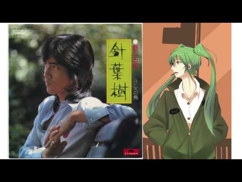【初音ミク】針葉樹【野口五郎カバー】- Goro Noguchi - Shinyoju Cover