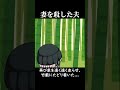 【意味怖#129】妻を殺した夫【ゆっくり茶番】　#shorts