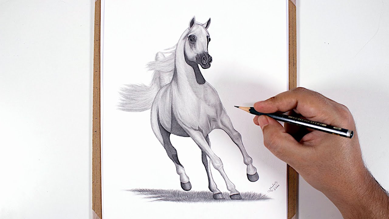 كيفية رسم جمل بالقلم الرصاص - How to draw a camel in a pencil 