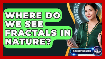 Where Do We See Fractals In Nature? - The Numbers Channel
