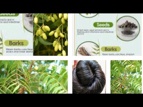 NEEM MOGTAHAY GEEDTALAL SALID IYO WAXA LAGASAMEYA FAIDOYIN MAQARKA IYO TIMA UFICAN KABADNE DAWO 