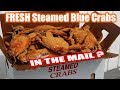 I Got Fresh Steamed Maryland Blue Crabs Online? - WHAT ARE WE EATING? - The Wolfe Pit