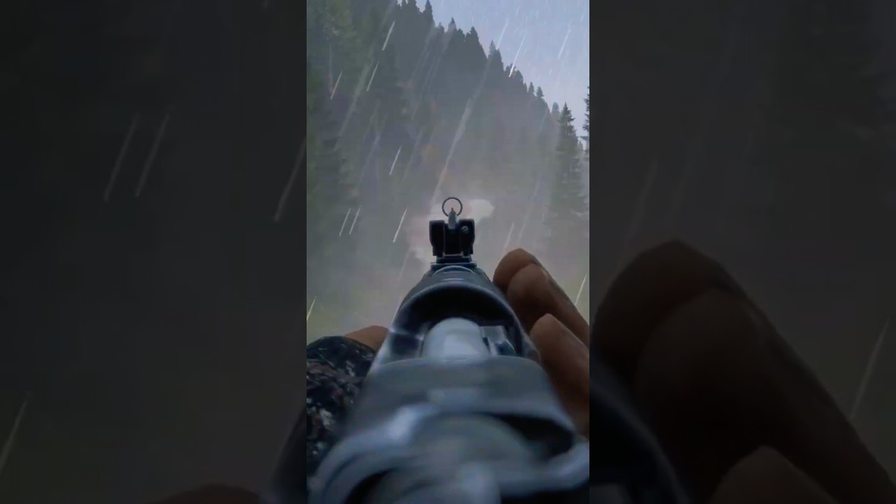 This is Why I Love Iron Sights in DayZ
