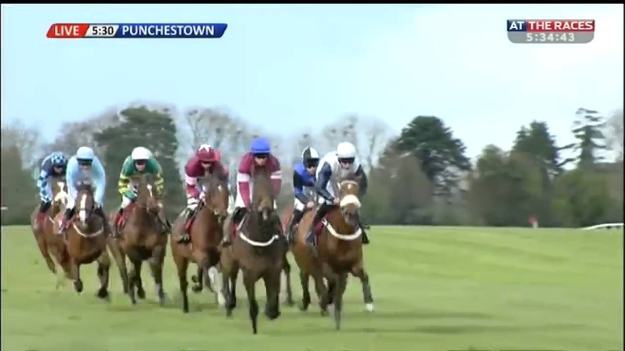 One Track Mind Ladbrokes Champion Stayers Hurdle (Grade 1) 2016