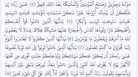 سورة التحريم مرتله بصوت الشيخ ابو زياد