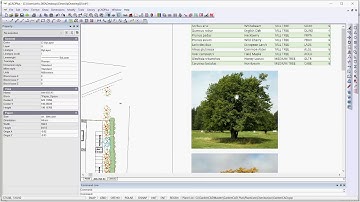 How to create a custom plant schedule using Excel