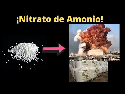 Nitrato de Amonio Síntesis