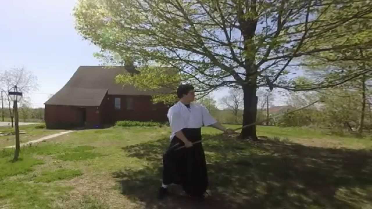 Naginata--Furikaeri Strikes