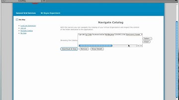 e-Collaboration Environment with Liferay and EnginFrame.