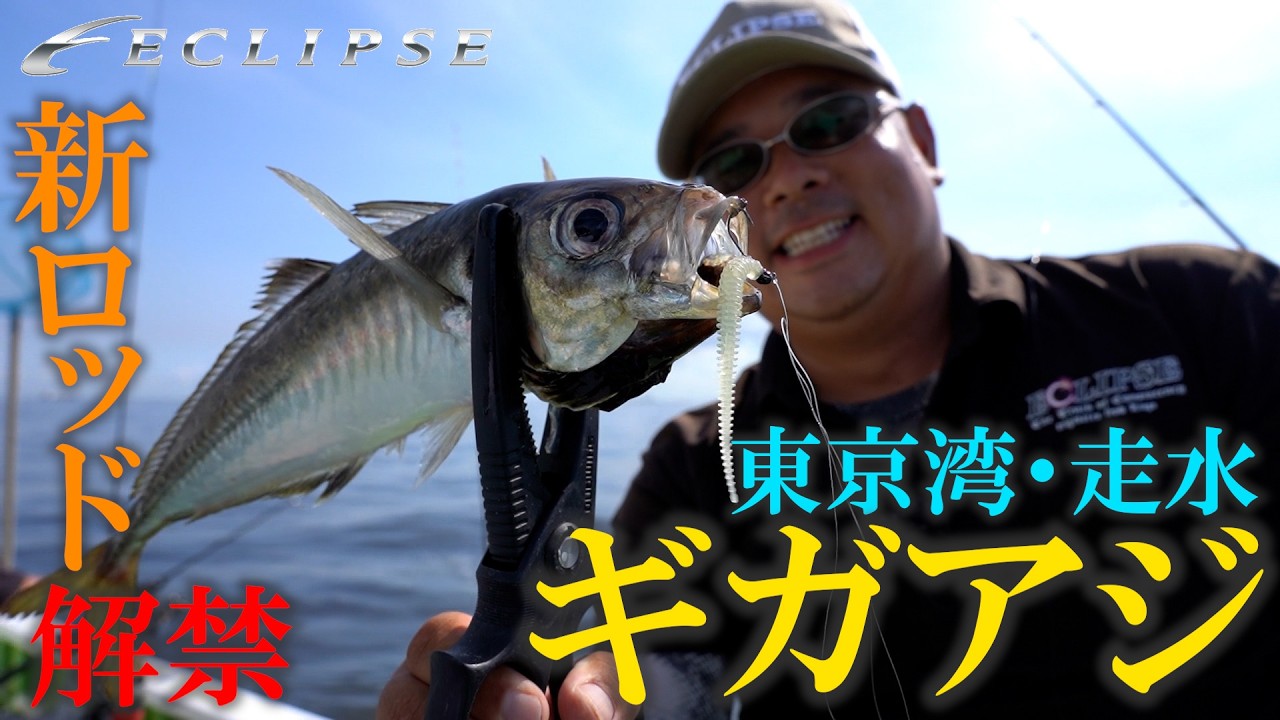 Eclipse Bachicon] New rod released. Giant horse mackerel in