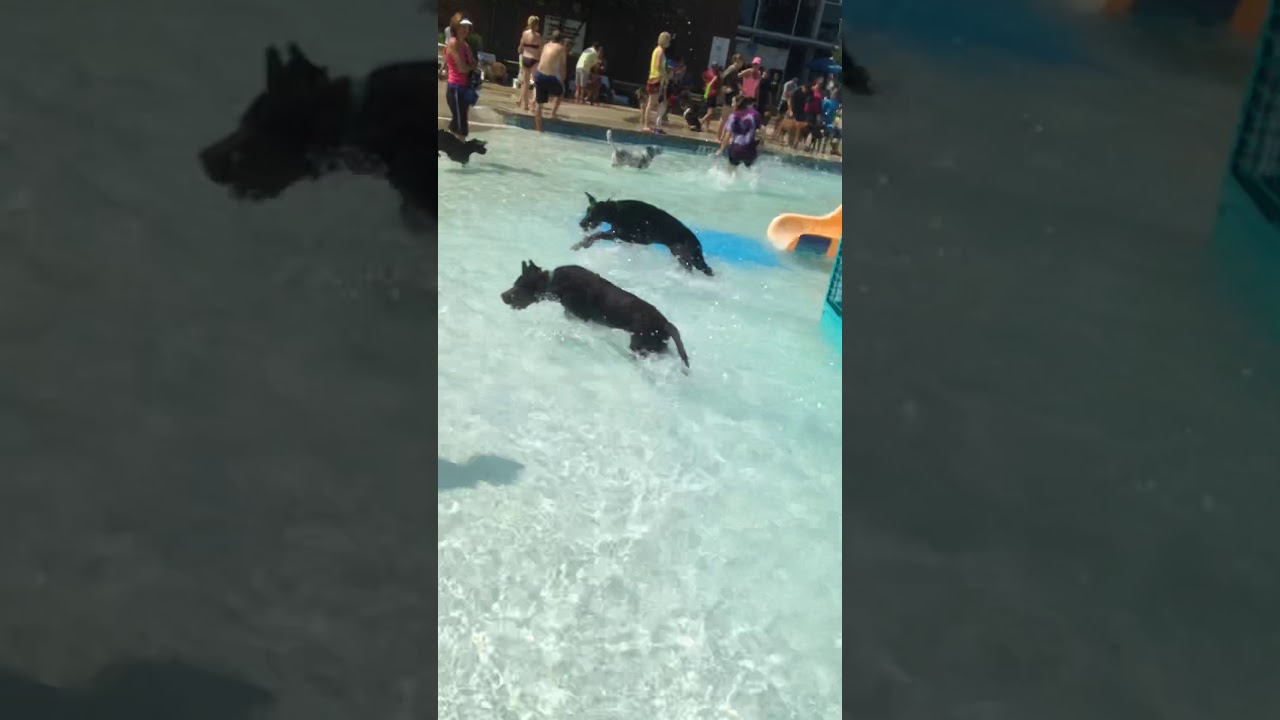 Keller pointe with Olivia and ranger 1