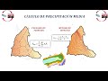 Cálculo de Precipitación Media: Polígono de Thiessen e Isoyetas - ArcGIS