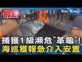 捕獲1級瀕危「革龜」!海巡獲報急介入安置｜TVBS新聞 @TVBSNEWS01