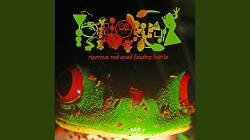 Erupted Kaloula Boil Proceed Boophis Feeding