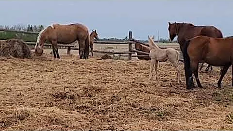 4a070df3 f14f 43ce 8b45 085f95d67461