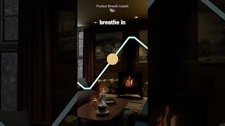 4-6 Breathing (6 Breaths Per Minute)  breathingforanxiety meditationmusic breathingeasy