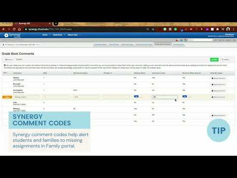 Comment Code set up in Synergy