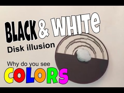 Black & White Disk Illusion experiment