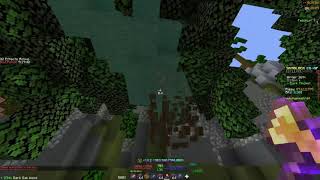 POV: You are Foraging during Derpy! (Hypixel Skyblock)