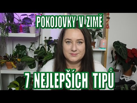 Video: Jak Se Starat O Své Pokojové Rostliny V Zimě