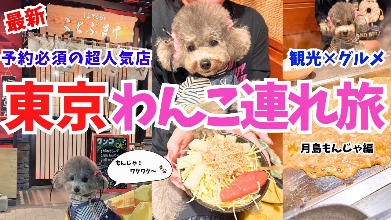 【犬と旅行】愛犬と東京グルメを楽しむならココ！もんじゃが食べれるお店が美味しすぎて最高だった！【月島もんじゃ ことぶきや】