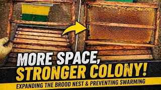 Prevent Swarming Before the Flow: Expanding the Brood Nest Step by Step