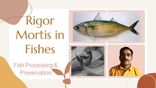 Rigor Mortis: What is Rigor Mortis and Its Role in Fish Preservation
