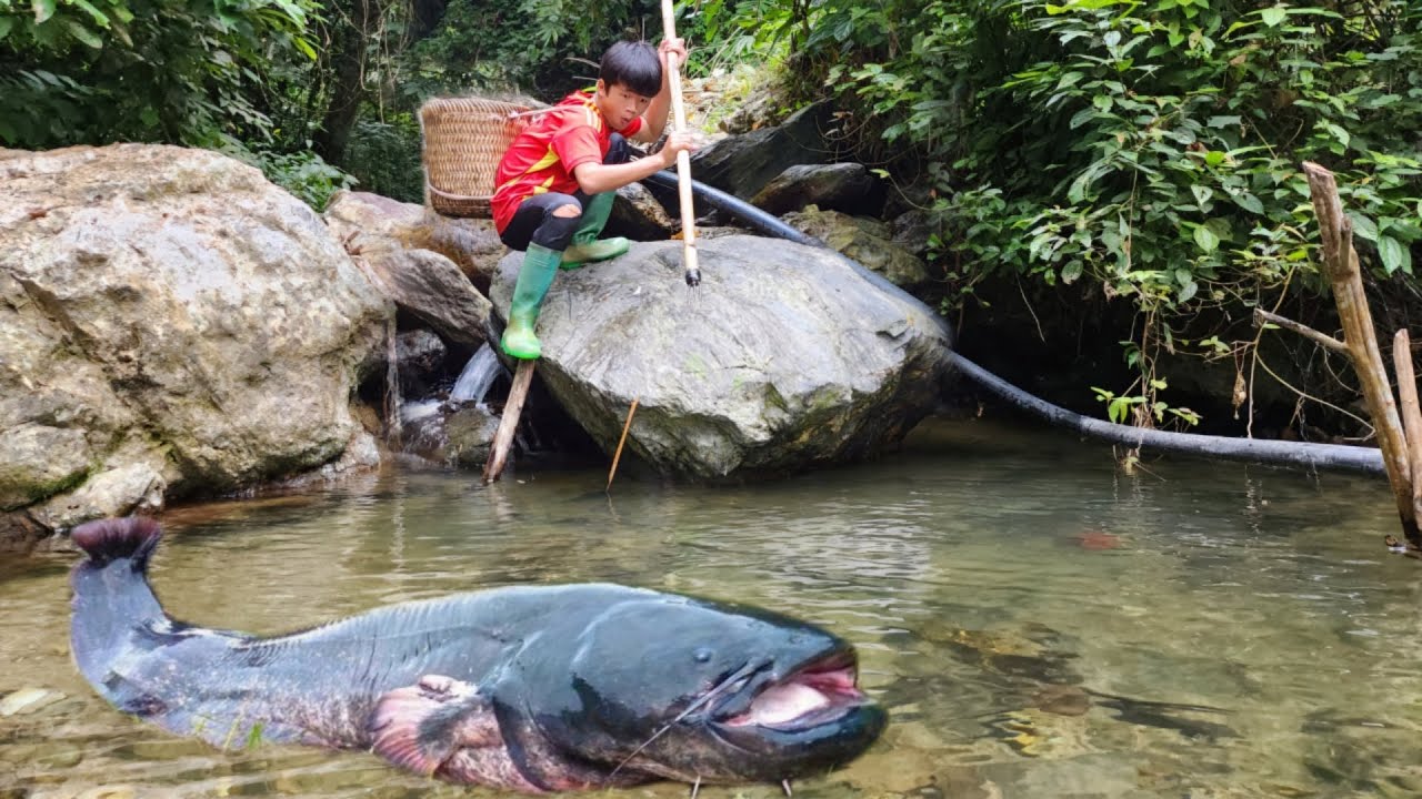 With rudimentary fishing skills, boy Lam caught a big fish in a deep ...