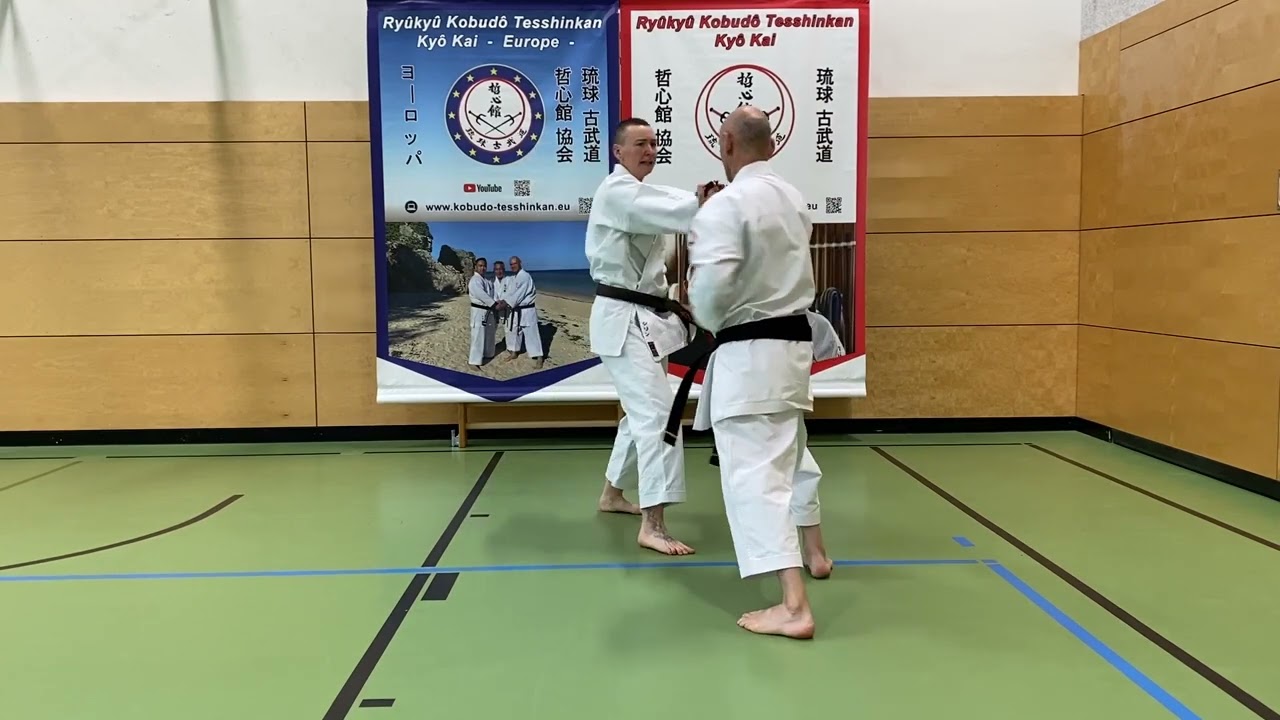 Maezato-no-Tekkō Bunkai   前里の鉄甲 • 分解
