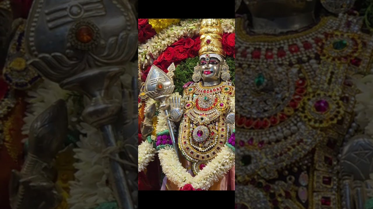 ஓம் முருகா போற்றி 🙏🙏