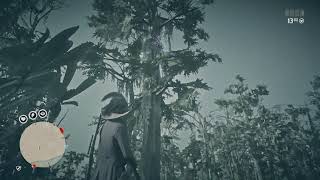 RDR2 Online: Life-Cycle 3 Bird Eggs Collectible - Egret Egg - Bayou Nwa screenshot 5