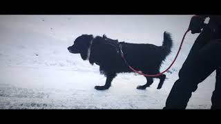 Idea 1 - Gilbran Alcocer