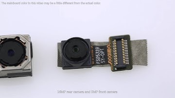 Vernee Apollo Lite Internal Parts & Structure