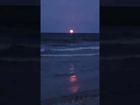 Feel Melodic Techno Version