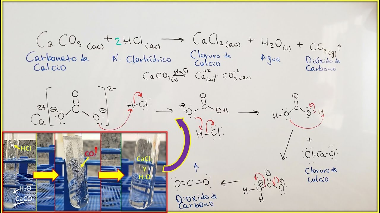Abbondanza Preparativi noioso carbonato de calcio formula entusiasta