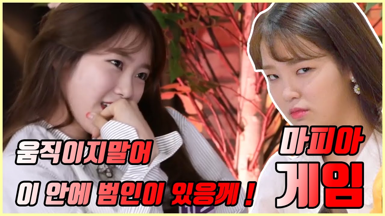 많고 많은 옴걸 마피아 영상중에 이걸로 짱먹을테야 (오마이걸 사생활 마피아게임) 꿀잼보장 / 예능 편집 / 팬튜브 / 미라클 / KPOP / OH MY GIRL