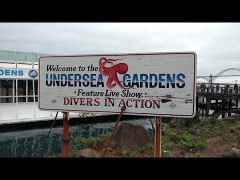 Our Last Visit To The Undersea Gardens In Newport Oregon Youtube