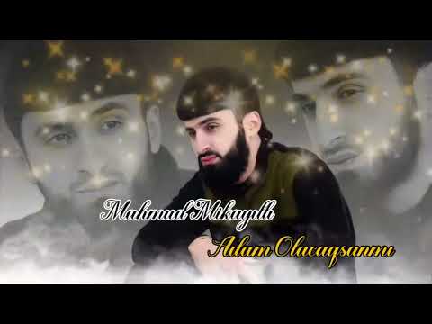 Mahmud Mikayıllı - Adam Olacaqsanmi 2022 (Official Music)