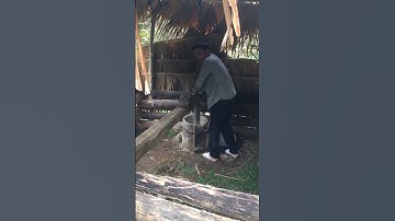 Giã gạo bằng sức nước các bác ạ👌